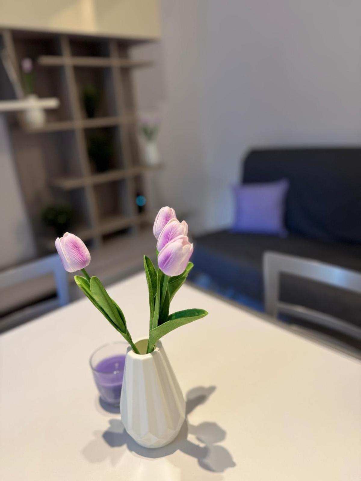 Appartement Casa Corner